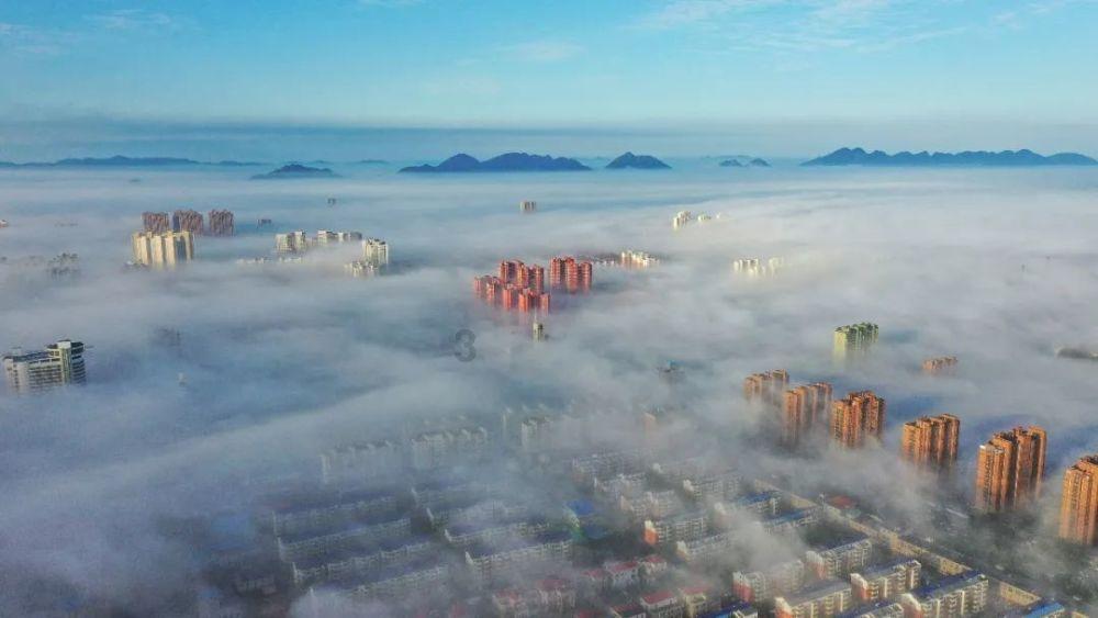 怎样提高孩子的注意力？游戏画面