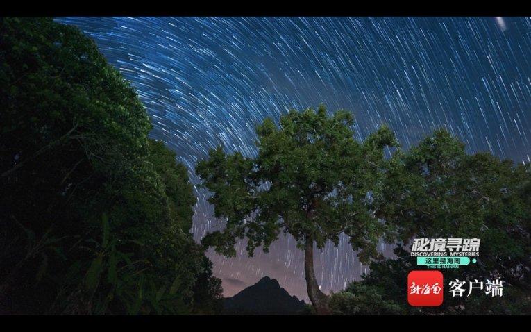 第一次见到猫口逃生的狗子,可以说命很大了